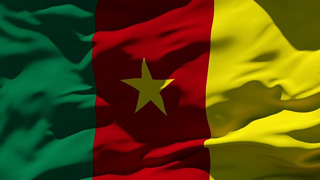 Cameroun bir armée solti stock